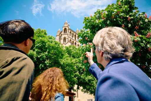 Public guided tour: Treasures of the city