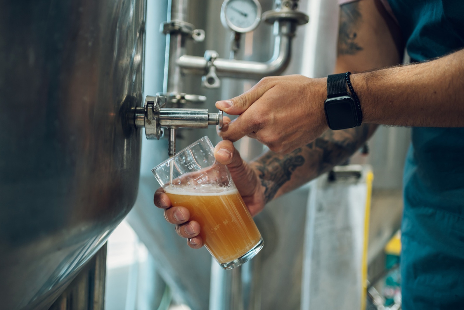 Tasting in a craft brewery