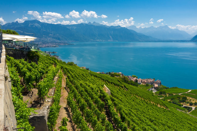 Vue sur la Terrasse du Baron Tavernier &agrave; Chexbres, les vignes le lac et les Alpes